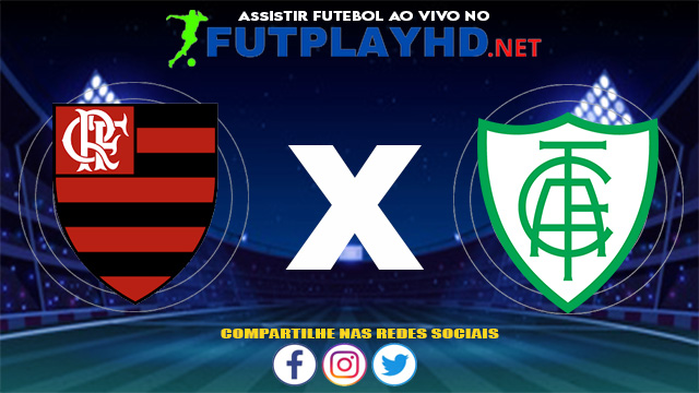 Assistir Flamengo X América MG AO VIVO Online 13/06/2021