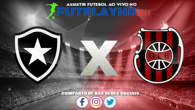 Assistir Botafogo X Brasil de Pelotas AO VIVO Online 15/08/2021