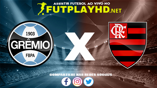 Assistir Grêmio X Flamengo AO VIVO Online 23/11/2021