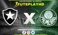 Assistir Botafogo x Palmeiras AO VIVO Online 01/11/2023