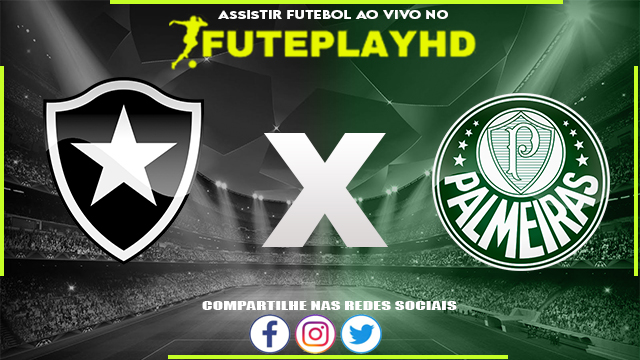 Assistir Botafogo x Palmeiras AO VIVO Online 21/07/2023