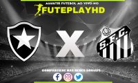 Assistir Botafogo x Santos AO VIVO Online 26/11/2023