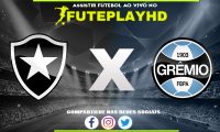 Assistir Botafogo x Grêmio AO VIVO Online 09/11/2023