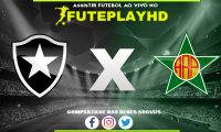 Assistir Botafogo x Portuguesa RJ AO VIVO Online 30/01/2024