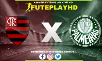 Assistir Flamengo x Palmeiras AO VIVO Online 08/11/2023