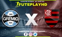 Assistir Grêmio x Flamengo AO VIVO Online 25/10/2023