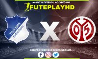 Assistir Hoffenheim x Mainz AO VIVO Online 26/11/2023