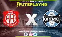 Assistir Inter de Bebedouro x Grêmio AO VIVO Online 09/01/2024