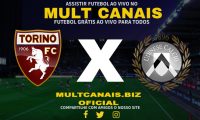 Assistir Torino x Udinese AO VIVO Online 23/12/2023